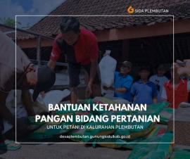 Bantuan Ketahanan Pangan Bidang Pertanian di Kalurahan Plembutan